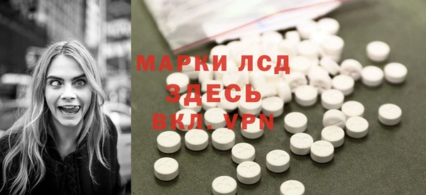 гидропоника Бородино