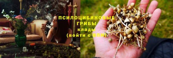 герыч Бронницы